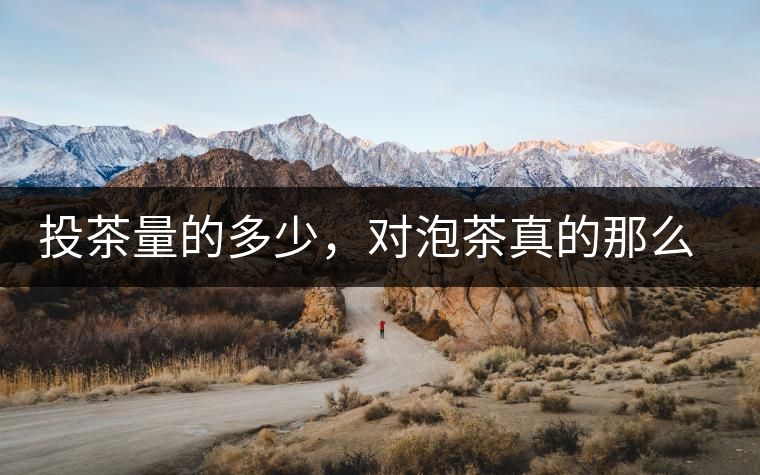 投茶量的多少，對泡茶真的那么重要嗎？