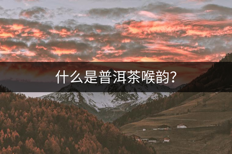 什么是普洱茶喉韻？