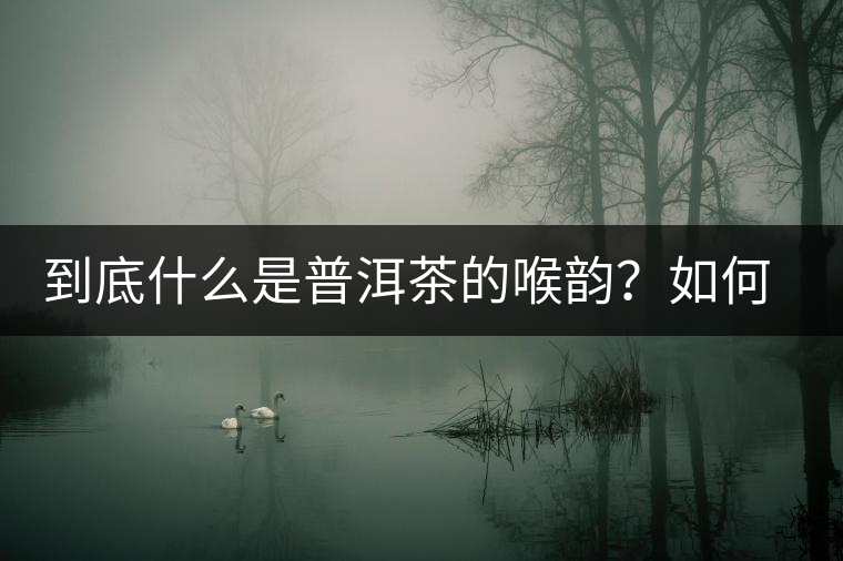 到底什么是普洱茶的喉韻？如何感受？