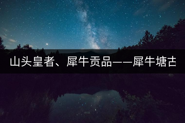 山頭皇者、犀牛貢品——犀牛塘古樹茶！