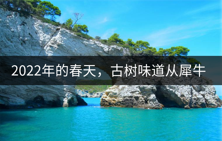 2022年的春天，古樹味道從犀牛塘開始！