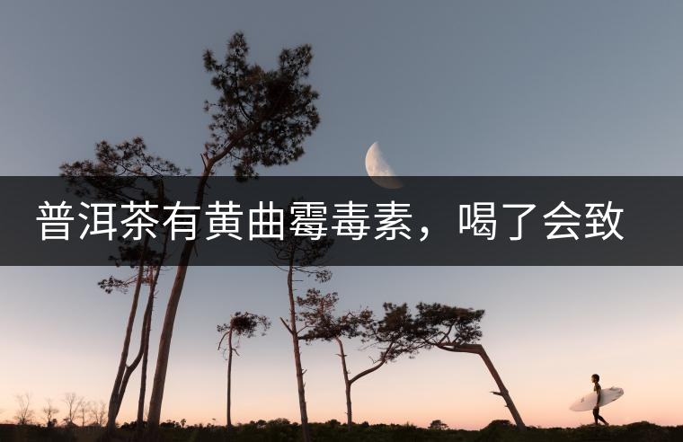 普洱茶有黃曲霉毒素，喝了會致癌？不黑不吹，咱用事實說話