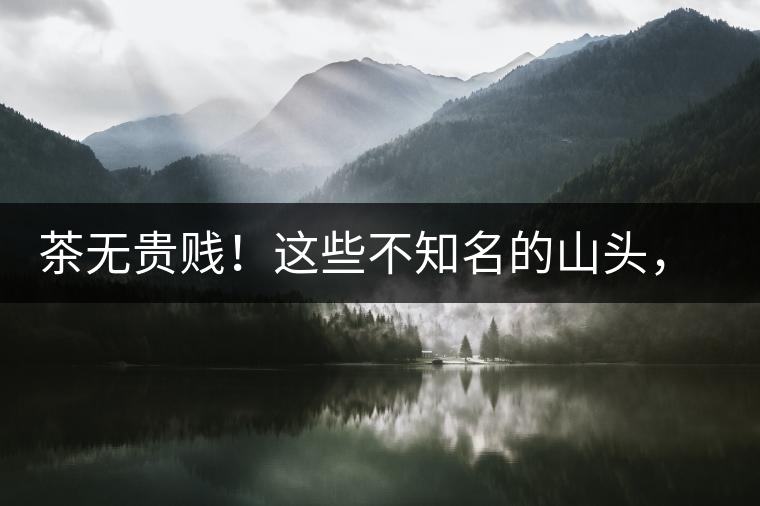 茶無(wú)貴賤！這些不知名的山頭，其實(shí)也產(chǎn)優(yōu)質(zhì)普洱茶！