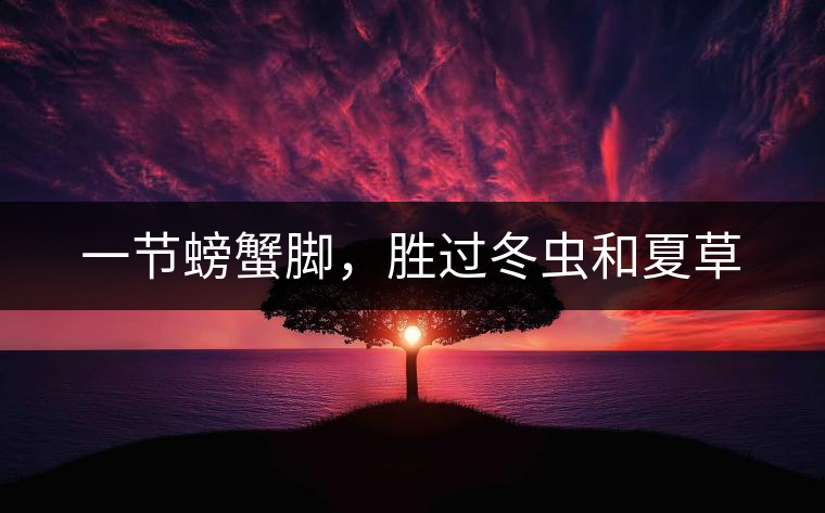 一節(jié)螃蟹腳，勝過(guò)冬蟲(chóng)和夏草