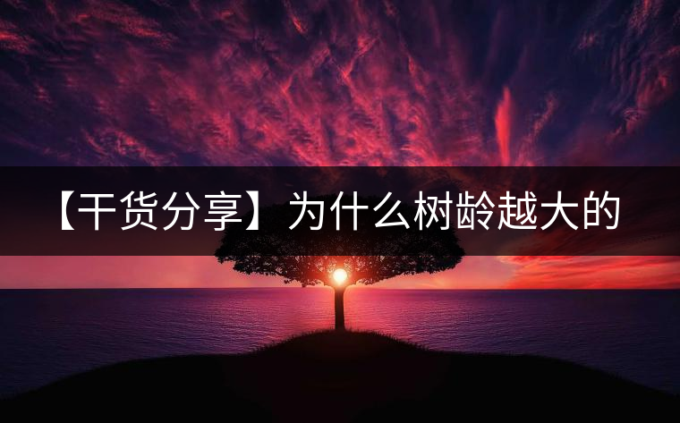 【干貨分享】為什么樹齡越大的普洱生茶，苦味越容易化掉？