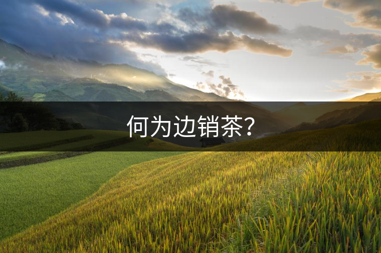 何為邊銷茶？