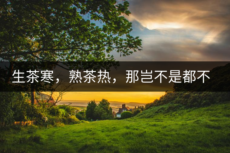 生茶寒，熟茶熱，那豈不是都不能喝了？丨實(shí)用