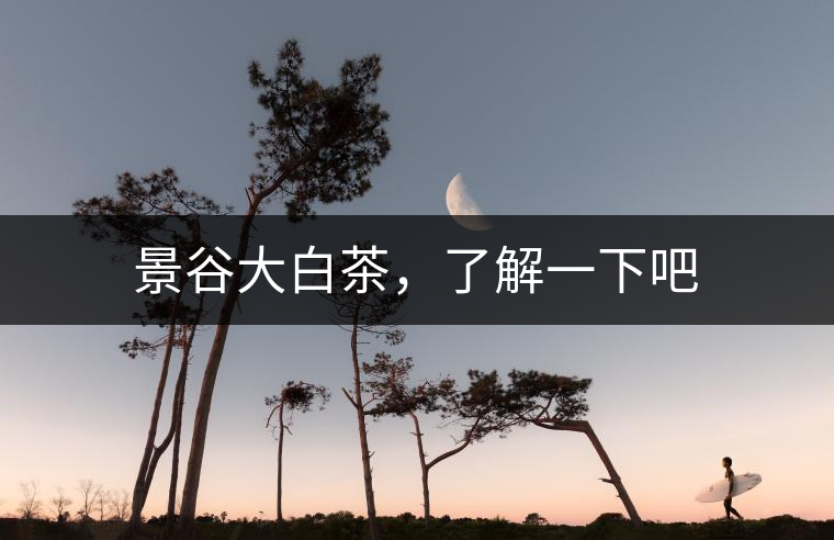 景谷大白茶，了解一下吧