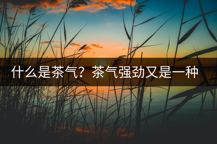 什么是茶氣？茶氣強(qiáng)勁又是一種怎樣的體驗(yàn)？