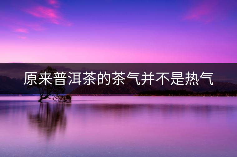 原來普洱茶的茶氣并不是熱氣