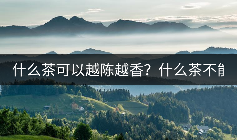 什么茶可以越陳越香？什么茶不能？