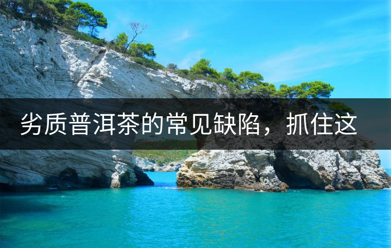 劣質(zhì)普洱茶的常見缺陷，抓住這三個特征，拒絕劣質(zhì)茶！