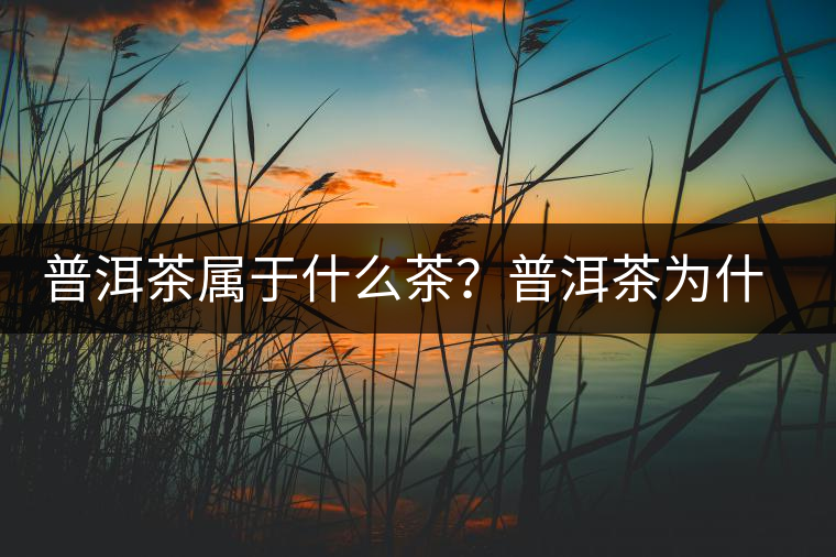 普洱茶屬于什么茶？普洱茶為什么會(huì)越陳越香？