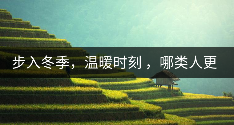 步入冬季，溫暖時(shí)刻 ，哪類人更適合 喝普洱熟茶