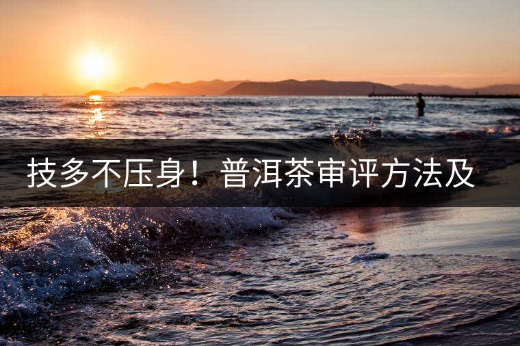 技多不壓身！普洱茶審評(píng)方法及專(zhuān)業(yè)術(shù)語(yǔ)大全（下）