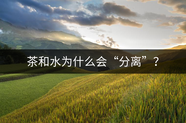 茶和水為什么會“分離”？