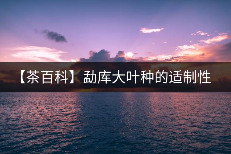 【茶百科】勐庫(kù)大葉種的適制性。