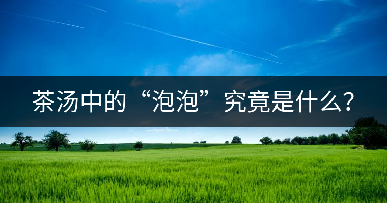 茶湯中的“泡泡”究竟是什么？