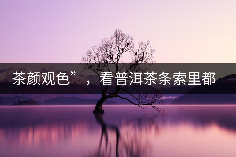 茶顏觀色”，看普洱茶條索里都蘊含著怎樣的“密碼”？