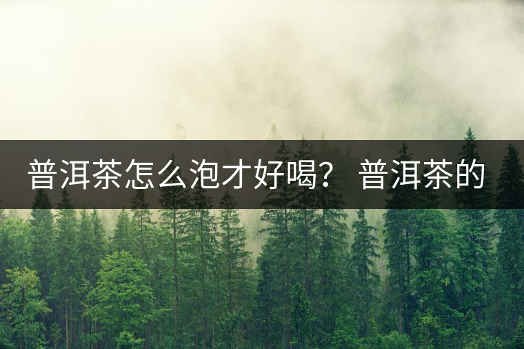 普洱茶怎么泡才好喝？ 普洱茶的沖泡技巧！