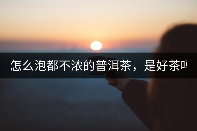 怎么泡都不濃的普洱茶，是好茶嗎？