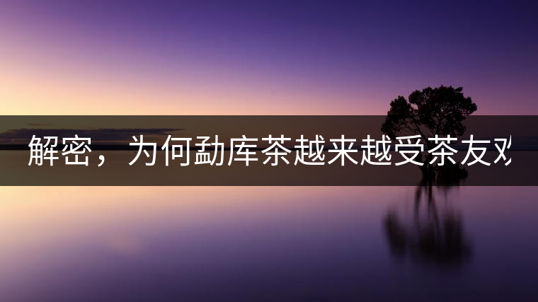 解密，為何勐庫茶越來越受茶友歡迎！