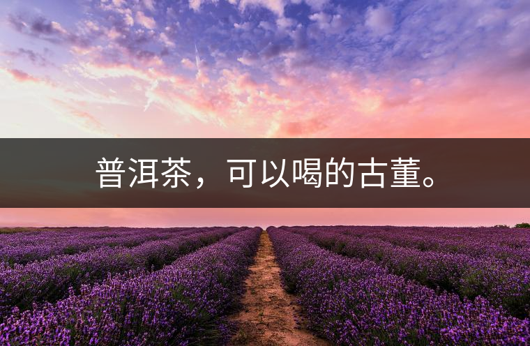 普洱茶，可以喝的古董。