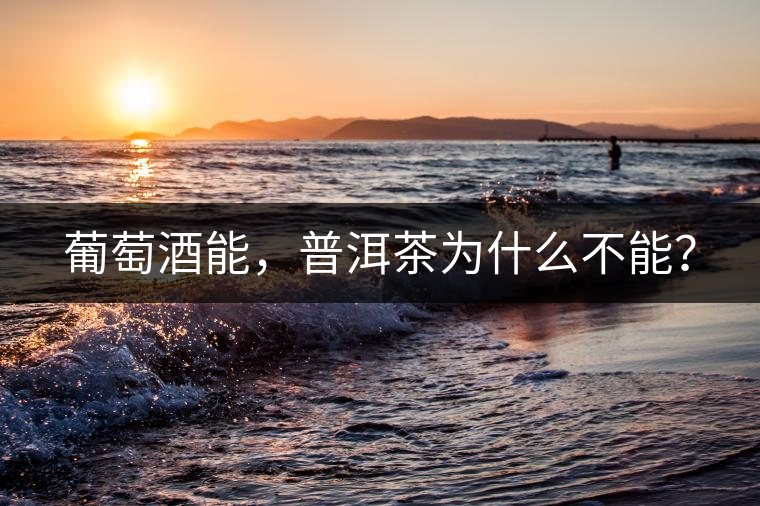 葡萄酒能，普洱茶為什么不能？