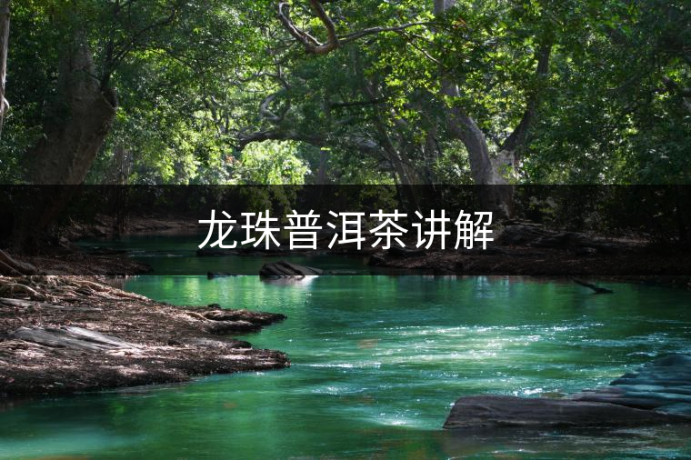 龍珠普洱茶講解 龍珠普洱茶講解