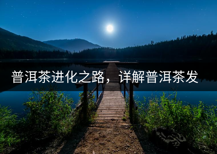 普洱茶進(jìn)化之路，詳解普洱茶發(fā)展的三大重要階段