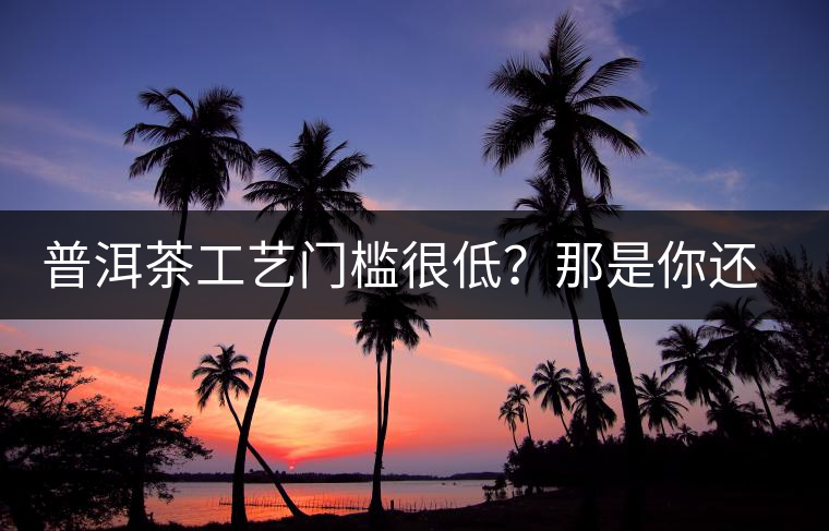 普洱茶工藝門檻很低？那是你還沒有參透工藝與自然之間的奧秘！