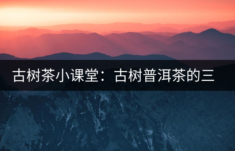 古樹茶小課堂：古樹普洱茶的三大價(jià)值