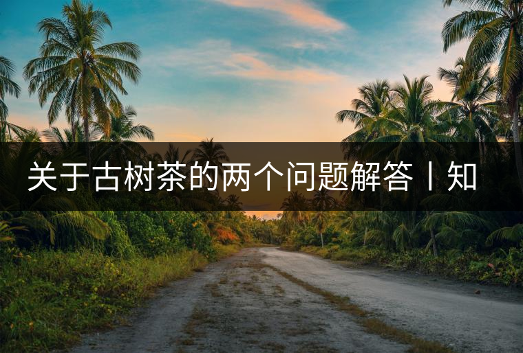 關(guān)于古樹茶的兩個問題解答丨知識 關(guān)于古樹茶的兩個問題解答丨知識