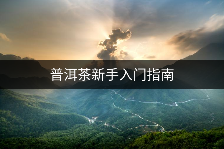 普洱茶新手入門指南