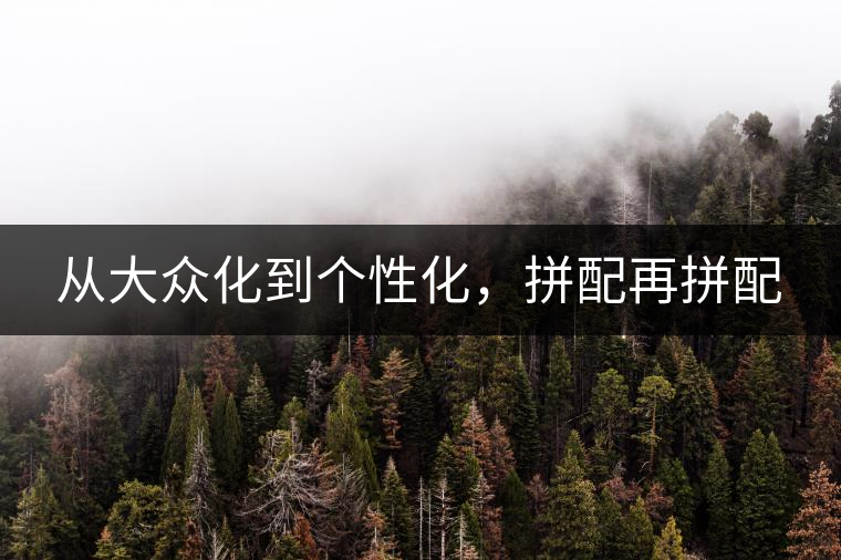 從大眾化到個(gè)性化，拼配再拼配