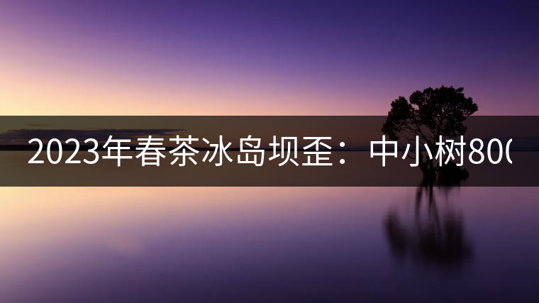 2023年春茶冰島壩歪：中小樹800元／公斤，古樹1400-1600元／公斤