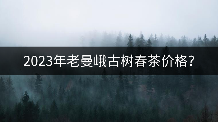 2023年老曼峨古樹春茶價(jià)格？