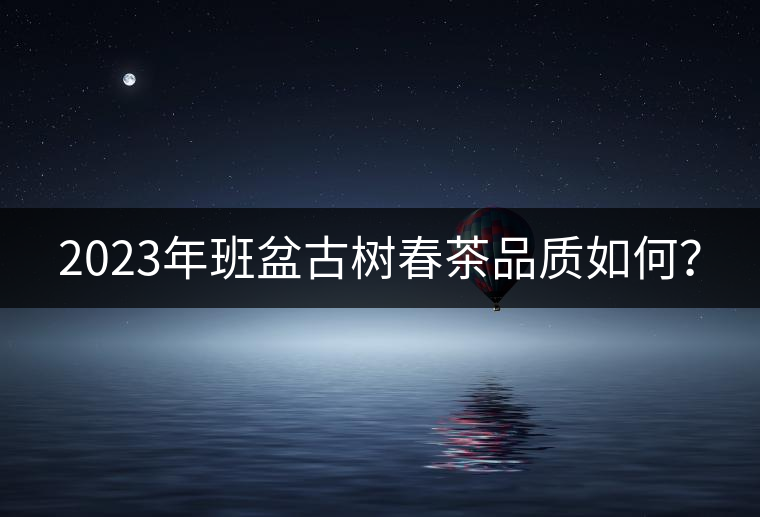 2023年班盆古樹春茶品質(zhì)如何？