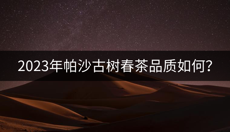 2023年帕沙古樹春茶品質(zhì)如何？