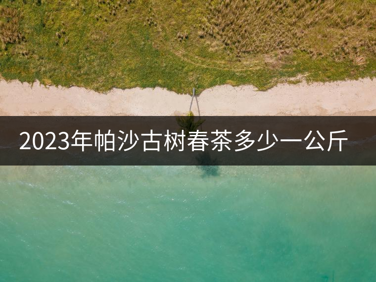 2023年帕沙古樹春茶多少一公斤？