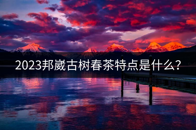 2023邦崴古樹春茶特點是什么？