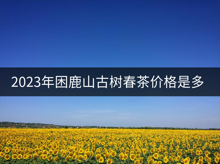 2023年困鹿山古樹春茶價(jià)格是多少？