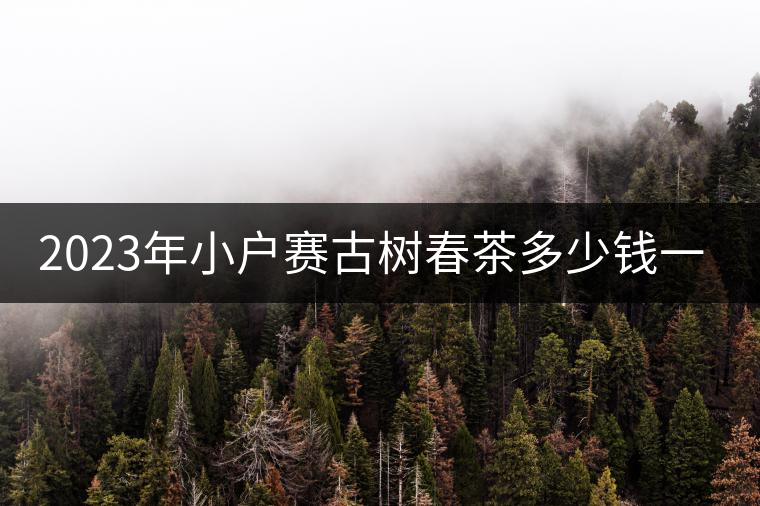 2023年小戶賽古樹春茶多少錢一公斤？