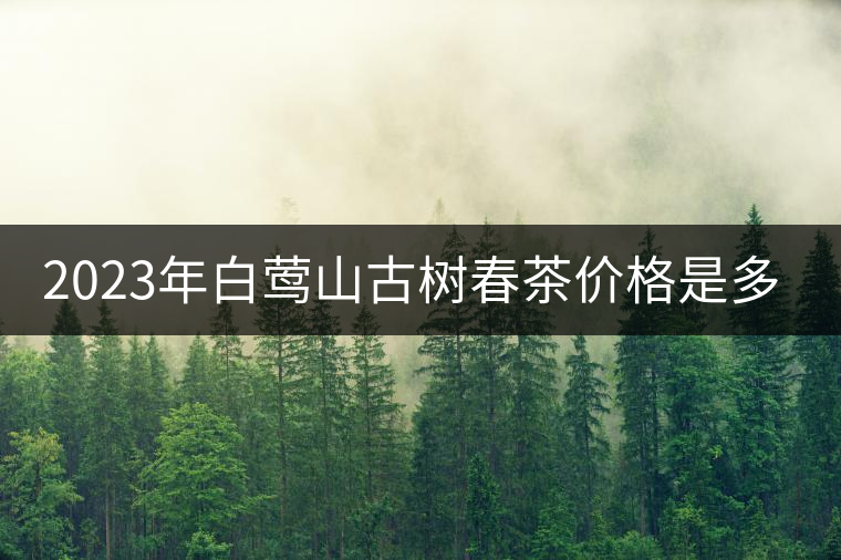 2023年白鶯山古樹(shù)春茶價(jià)格是多少？