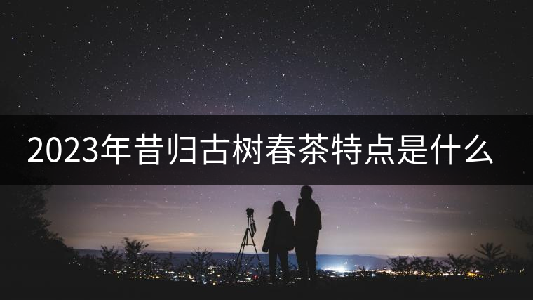 2023年昔歸古樹春茶特點是什么? 2023年昔歸古樹春茶特點是什么?