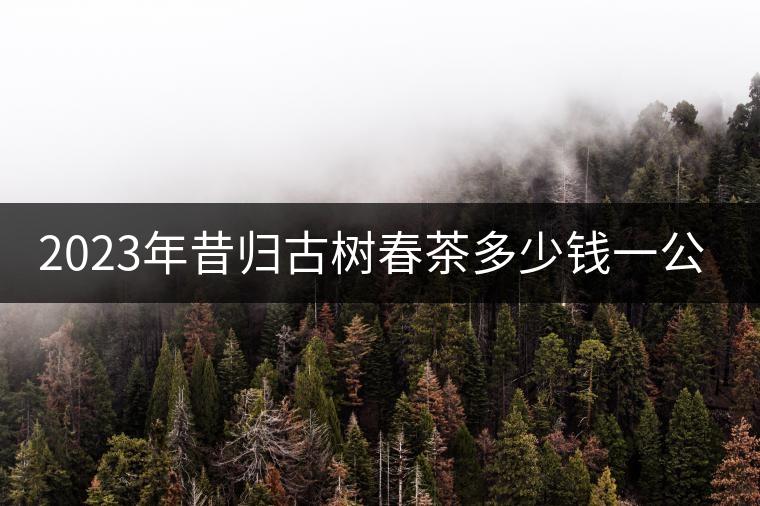 2023年昔歸古樹春茶多少錢一公斤？