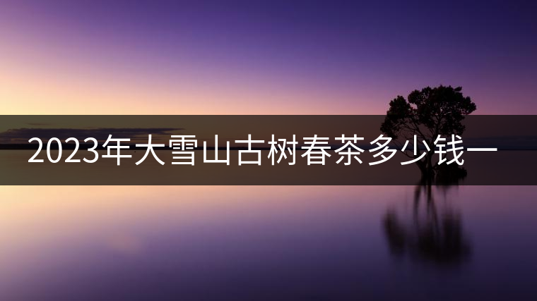 2023年大雪山古樹春茶多少錢一公斤？