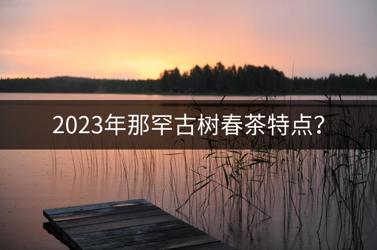 2023年那罕古樹春茶特點(diǎn)？