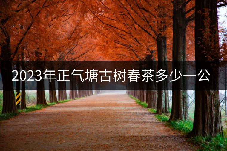 2023年正氣塘古樹春茶多少一公斤？