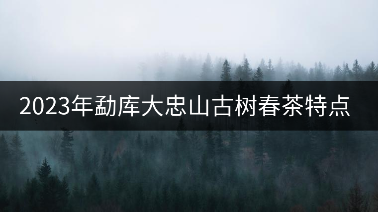 2023年勐庫大忠山古樹春茶特點?